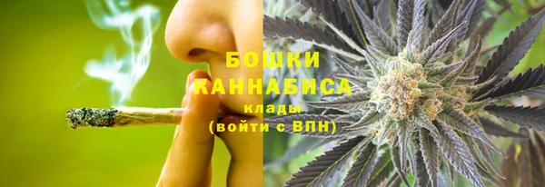 крисы Наволоки