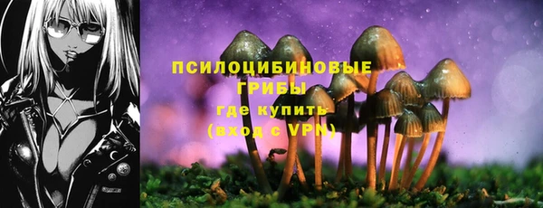 крисы Наволоки