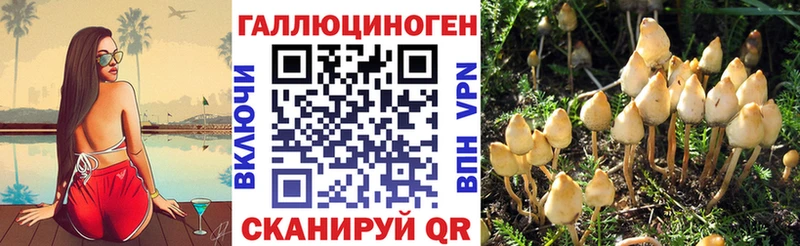 mega ТОР  Нарьян-Мар  Псилоцибиновые грибы прущие грибы 