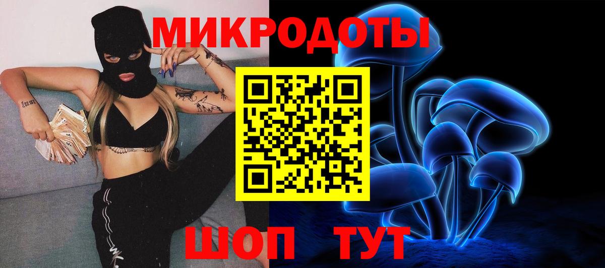 Псилоцибиновые грибы Cubensis Нарьян-Мар